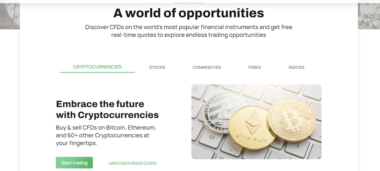 Weinstein Corp Asset Offering