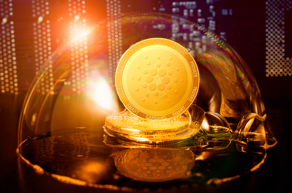 Wealth fronts review